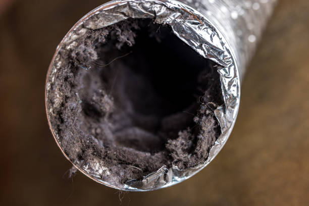 Best Air Duct Cleaning Near Me  in San Luis Obispo, CA